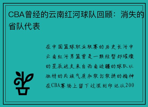 CBA曾经的云南红河球队回顾：消失的省队代表