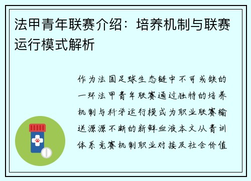 法甲青年联赛介绍：培养机制与联赛运行模式解析